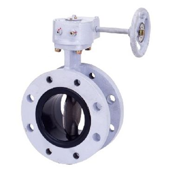 KITZ開滋閥門、日本進口閥門G-10DJU-200A