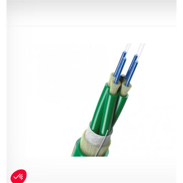 英國Scaime 2合1力傳感器K1882-50kN