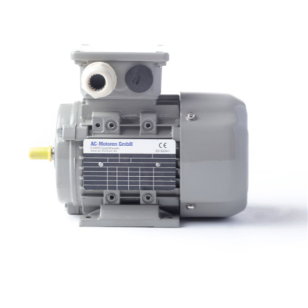 德國(guó)AC MOTOREN防火防爆電機(jī)E3-ASA 200 LB 4