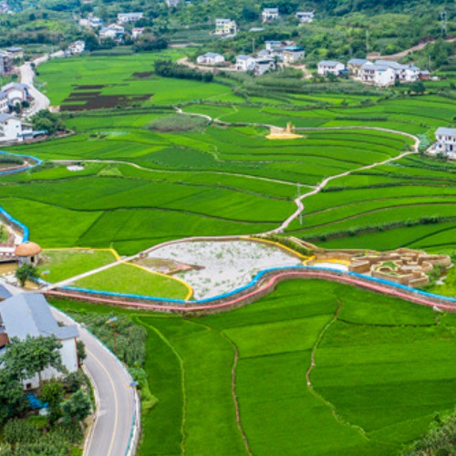 中農發種業集團股份有限公司.jpg 中農發種業集團股份有限公司.jpg